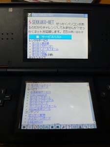 ニンテンドーdsでネットサーフィン コラム更新日記