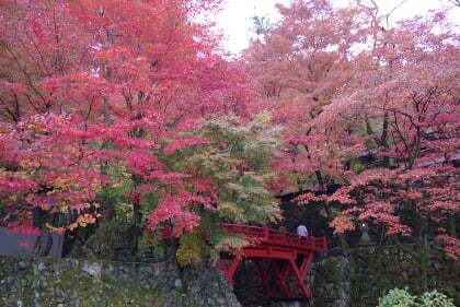 横蔵寺もみじまつり09年いよいよ開催 コラム更新日記 モバイルページ
