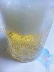 トップバリュのビール「麦の薫り」