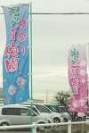 「安八百梅園の2010年梅祭り行ってきました」の関連写真 安八百梅園の2010年梅祭り行ってきました