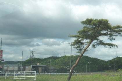 3826号1枚目の写真