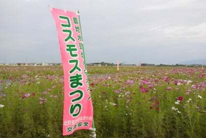 4101号1枚目の写真