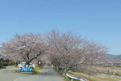 4483号1枚目の写真
