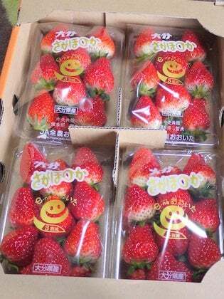 イオンモール久御山の購入品の写真