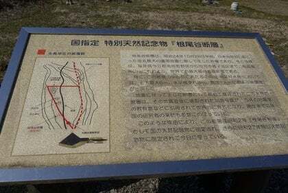国指定の特別天然記念物 根尾谷断層の写真