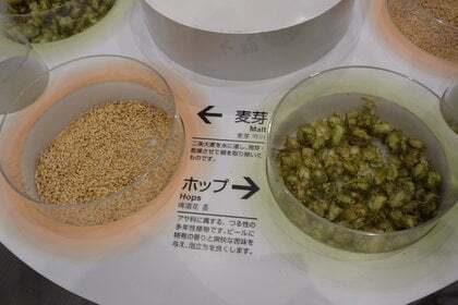 麦芽やホップの写真