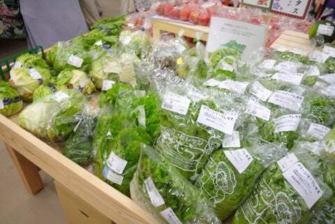 直売所の野菜の写真