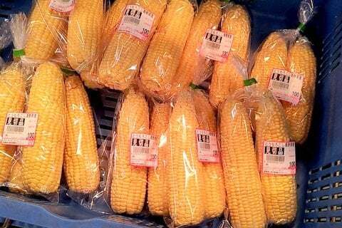 トウモロコシの特売の写真