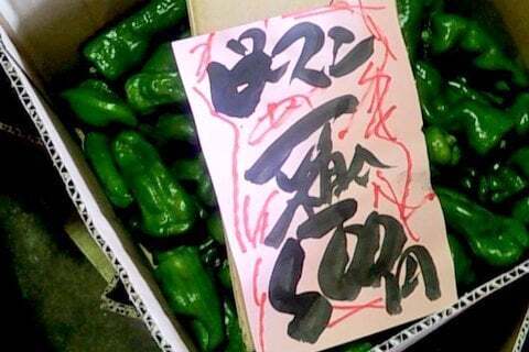 ピーマン一箱の写真