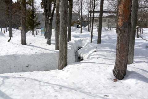ひるがの分水嶺公園の荘川側の写真