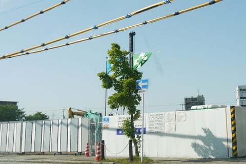 6166号1枚目の写真