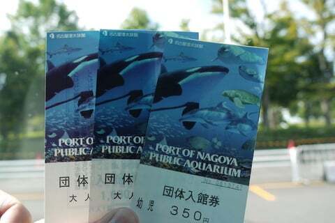 名古屋港水族館に団体チケットでイルカショーを見に行ってきました コラム更新日記