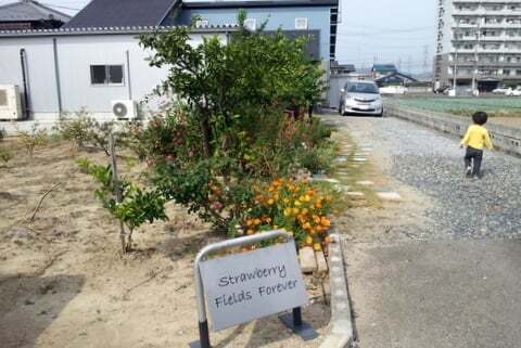 岐阜市 ストロベリーフィールズフォーエバー のシュークリームを食べてみました コラム更新日記