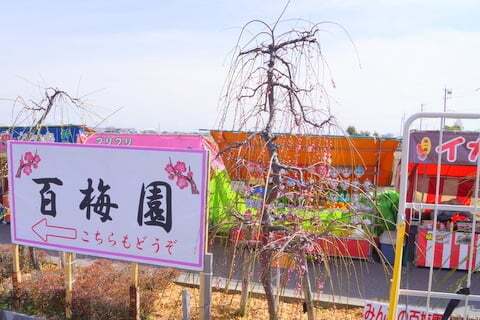 6608号1枚目の写真