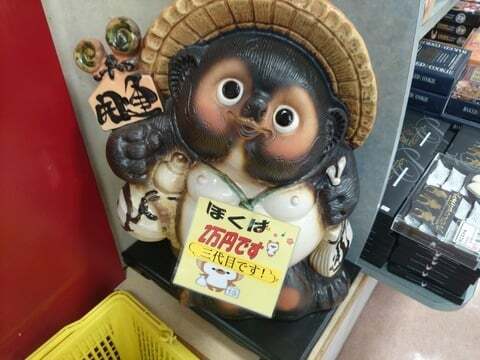たぬきの写真