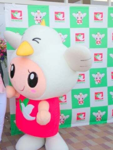 はとっぴーの写真
