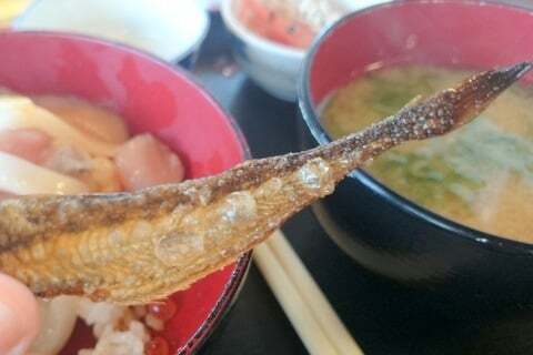 試食の写真