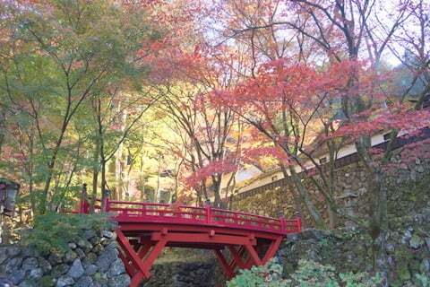 売店も楽しみの1つ 14年両界山横蔵寺の紅葉を見に行ってきました コラム更新日記