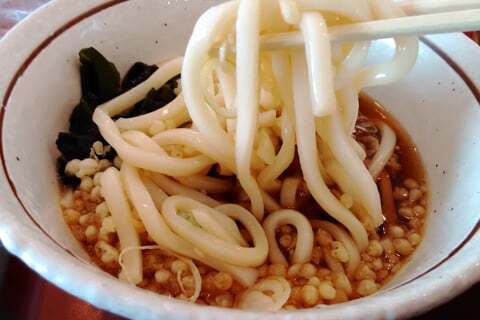 おじいちゃんもおばあちゃんもやってくる 埼玉 山田うどん 食べてみました コラム更新日記