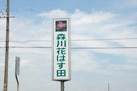 7331号1枚目の写真
