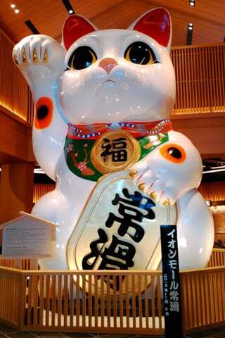 招き猫の写真