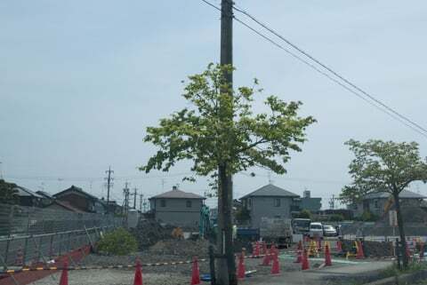 クスリのアオキ長松店の写真