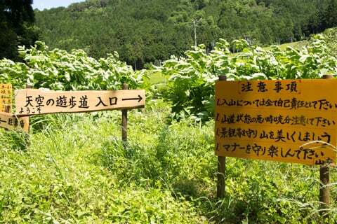 岐阜のマチュピチュと称される揖斐川町春日の天空の茶畑からの景色見てみました コラム更新日記