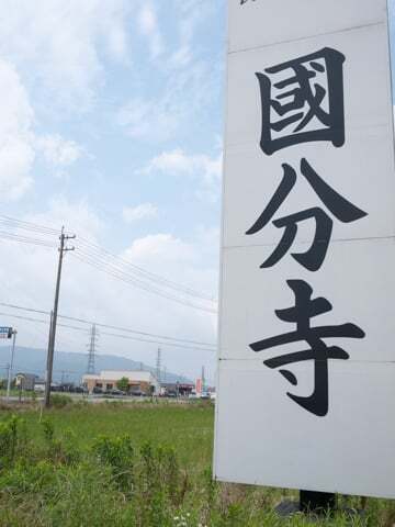 大垣ひまわり畑(青野町)の写真