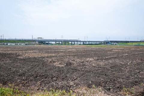 大垣ひまわり畑(平町)の写真