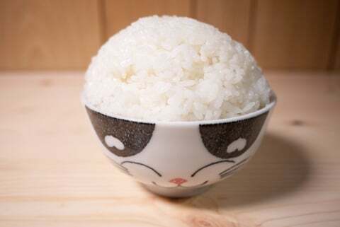 実際のごはんの量の写真