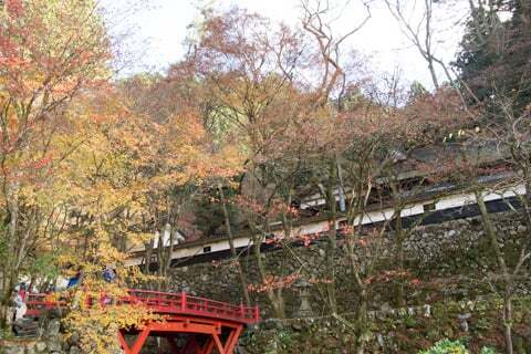 16年の紅葉は終わり 揖斐川町谷汲の横蔵寺行ってきました コラム更新日記