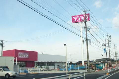コスモス真正の写真