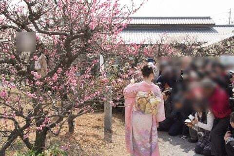 フォトコンテストの写真