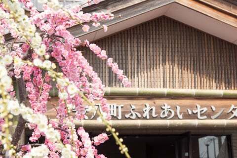 安八町ふれあいセンターの写真