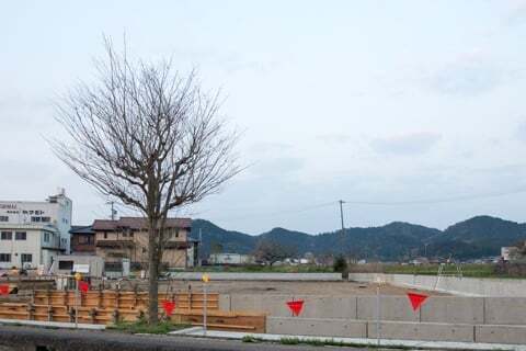 Vドラッグ武芸川店の様子の写真