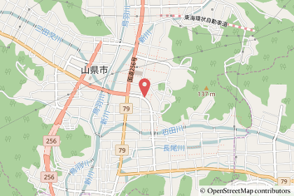 ドラッグコスモス高富店の出店地地図の写真