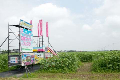 いちのえだ田園フラワーフェスタの写真