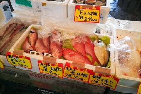 新鮮なお魚の写真