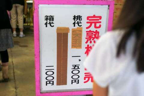 桃の価格の写真