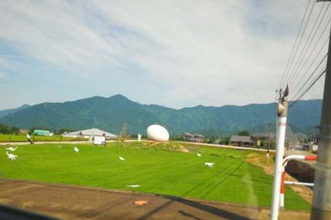 恐竜のたまごの写真