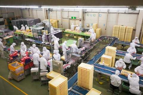 信玄餅の包装工程の写真