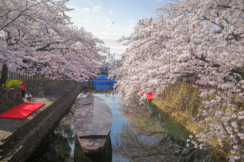 奥の細道むすびの地の写真