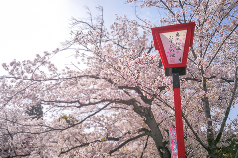 水門川の写真