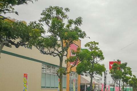 Vドラッグ羽島北店の写真