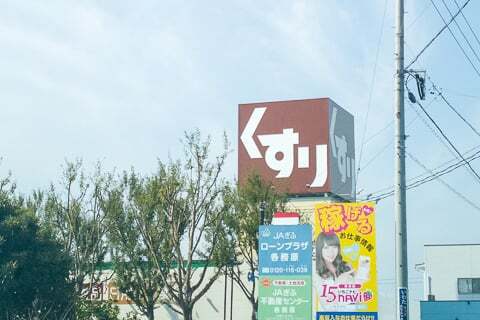 スギドラッグ蘇原店の写真