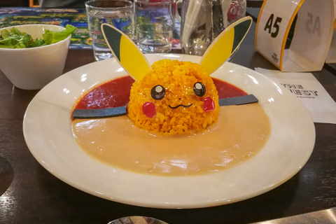 相棒ピカチュウドリアの写真