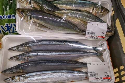 お魚の特売の写真