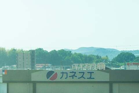 カネスエ薬師店の雰囲気の写真