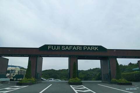 富士サファリパークの写真