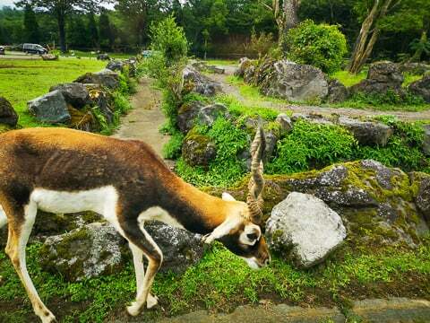 山岳ゾーンの写真